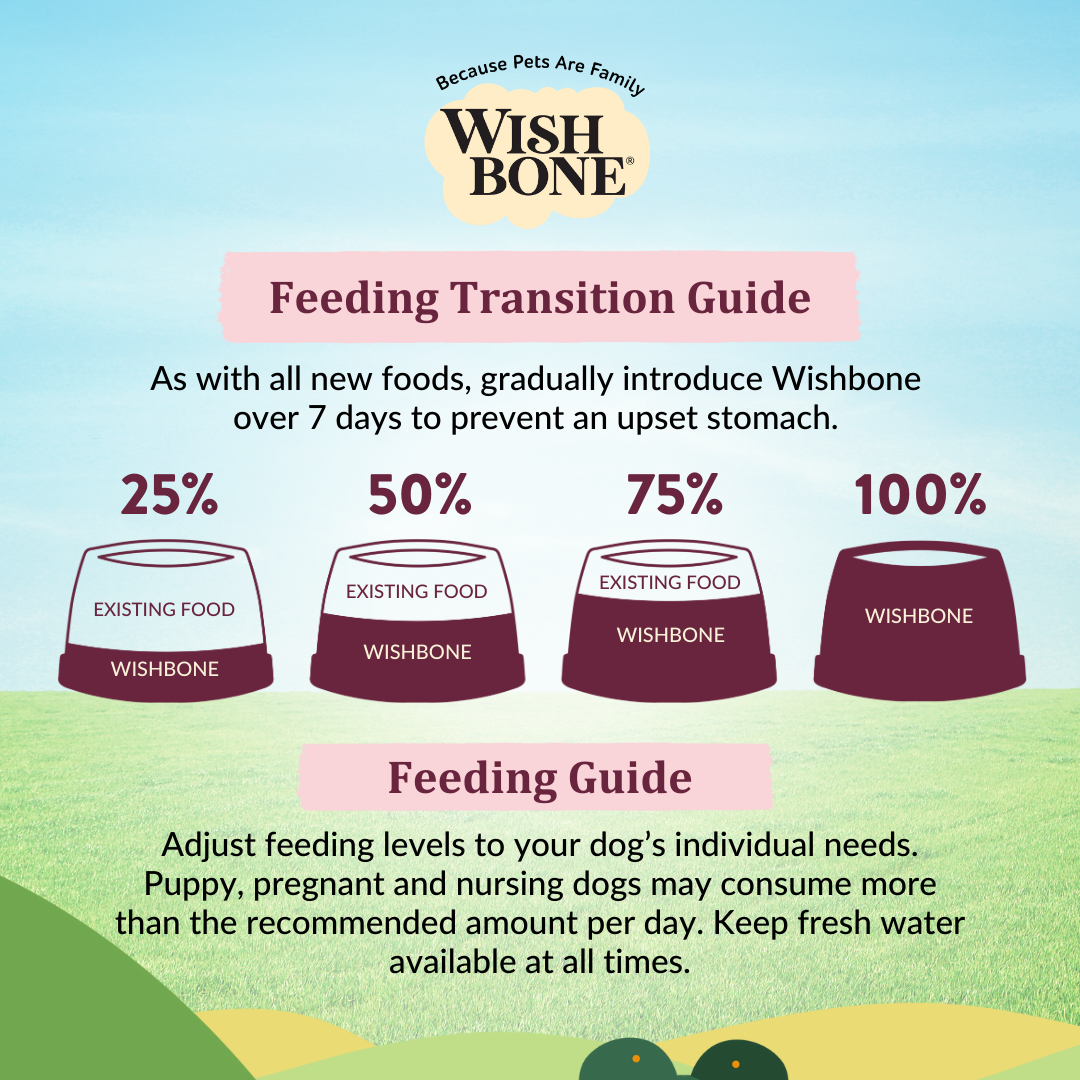 Buy Wishbone Graze New Zealand Beef & Lamb Dry Dog Food - 4 lb bag, gluten-free and grain-free formula with premium beef, lamb, and antioxidants.