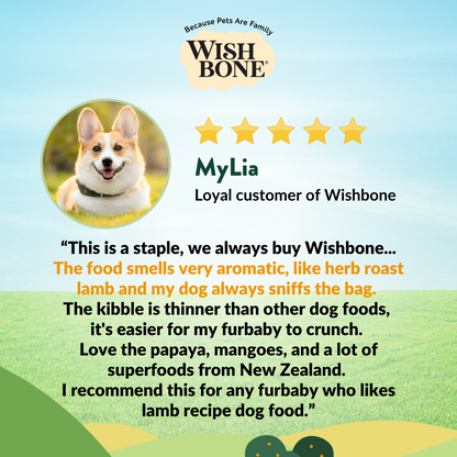 Wishbone Pasture New Zealand Lamb Dry Dog Food, 4 lb bag, gluten-free and grain-free formula for muscle health, digestion, and a shiny coat.
