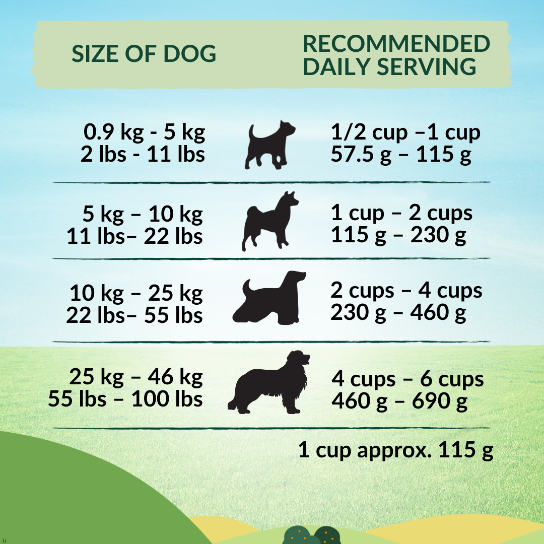 Wishbone Pasture New Zealand Lamb Dry Dog Food, 4 lb bag, gluten-free and grain-free formula for muscle health, digestion, and a shiny coat.