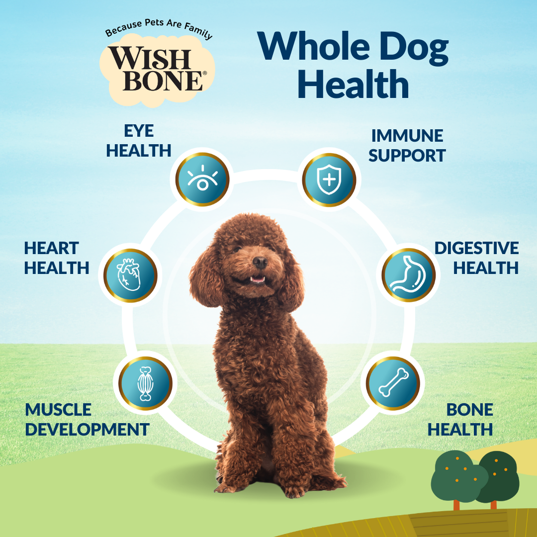 Wishbone Roost New Zealand Chicken Dry Dog Food, 4 lb bag, gluten-free and grain-free formula for muscle health, digestion, and overall wellness.