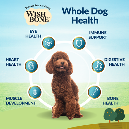Wishbone Roost New Zealand Chicken Dry Dog Food, 4 lb bag, gluten-free and grain-free formula for muscle health, digestion, and overall wellness.