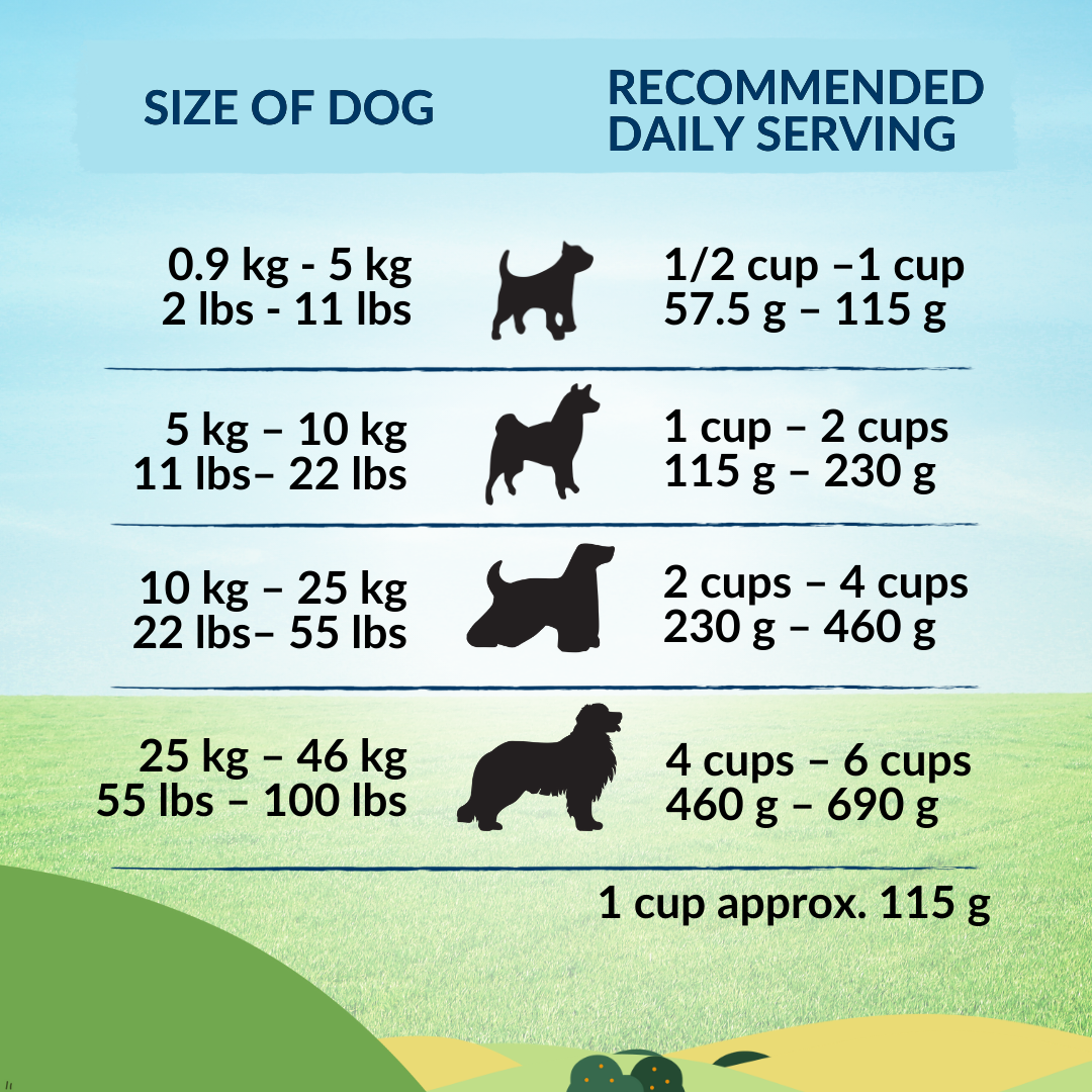 Wishbone Roost New Zealand Chicken Dry Dog Food, 4 lb bag, gluten-free and grain-free formula for muscle health, digestion, and overall wellness.