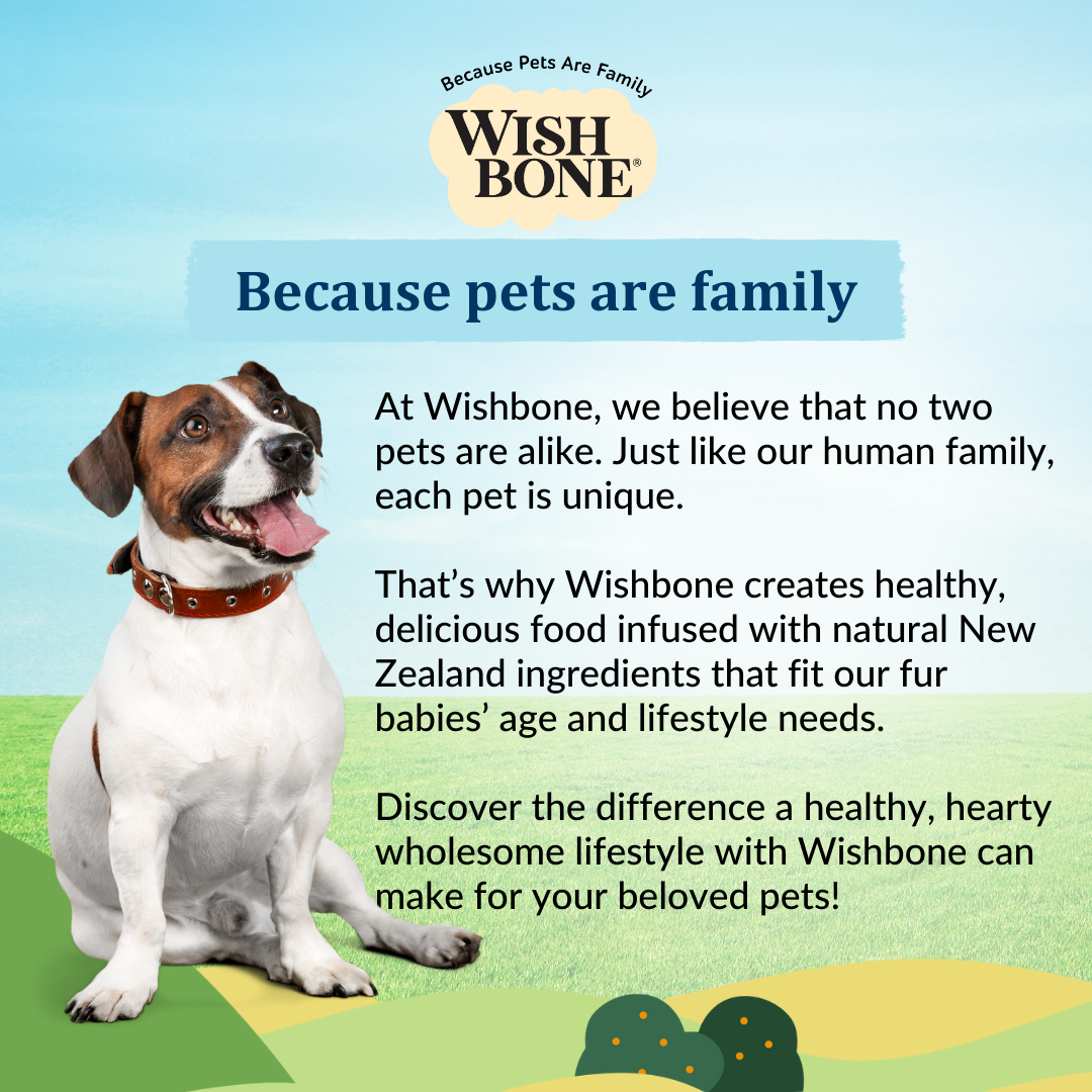Wishbone Roost New Zealand Chicken Dry Dog Food, 4 lb bag, gluten-free and grain-free formula for muscle health, digestion, and overall wellness.