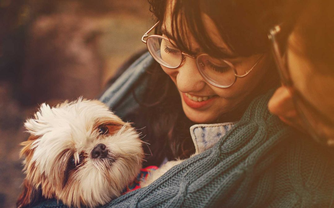 10 reasons dogs are family