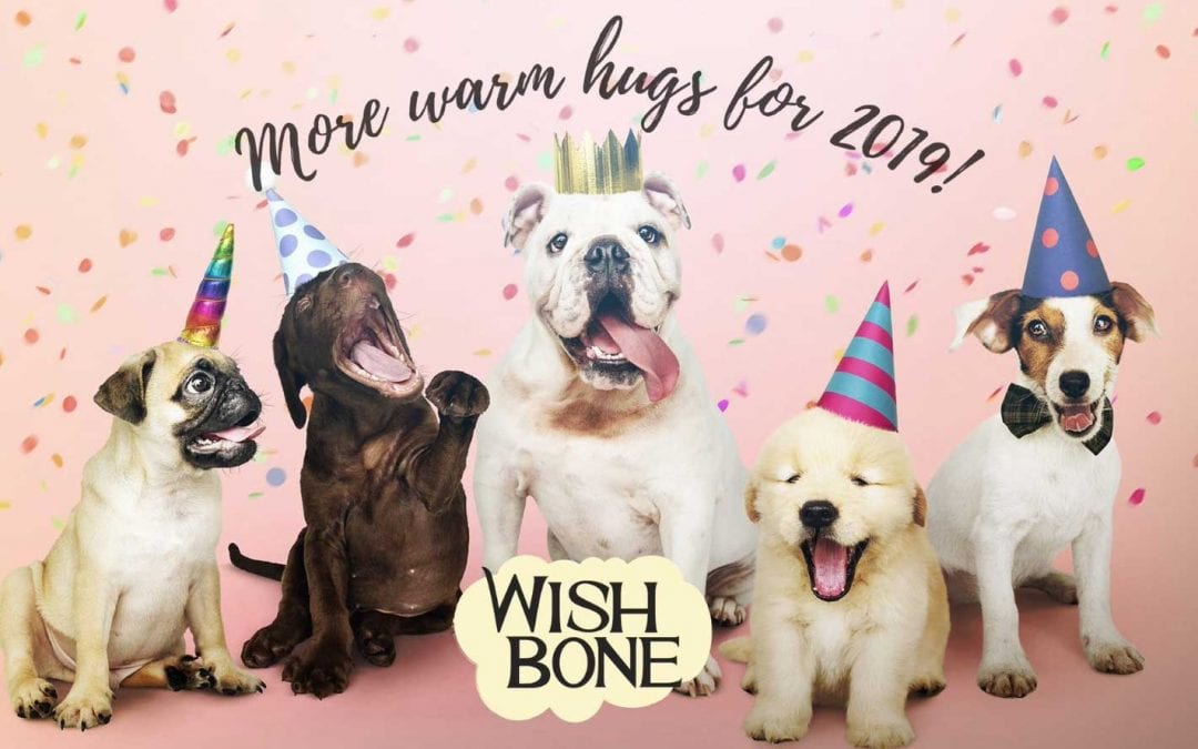 2019: A New Year for More Hugs, More Love with Pets as Family