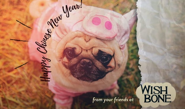 Happy Chinese New Year from Wishbone Pet Foods!