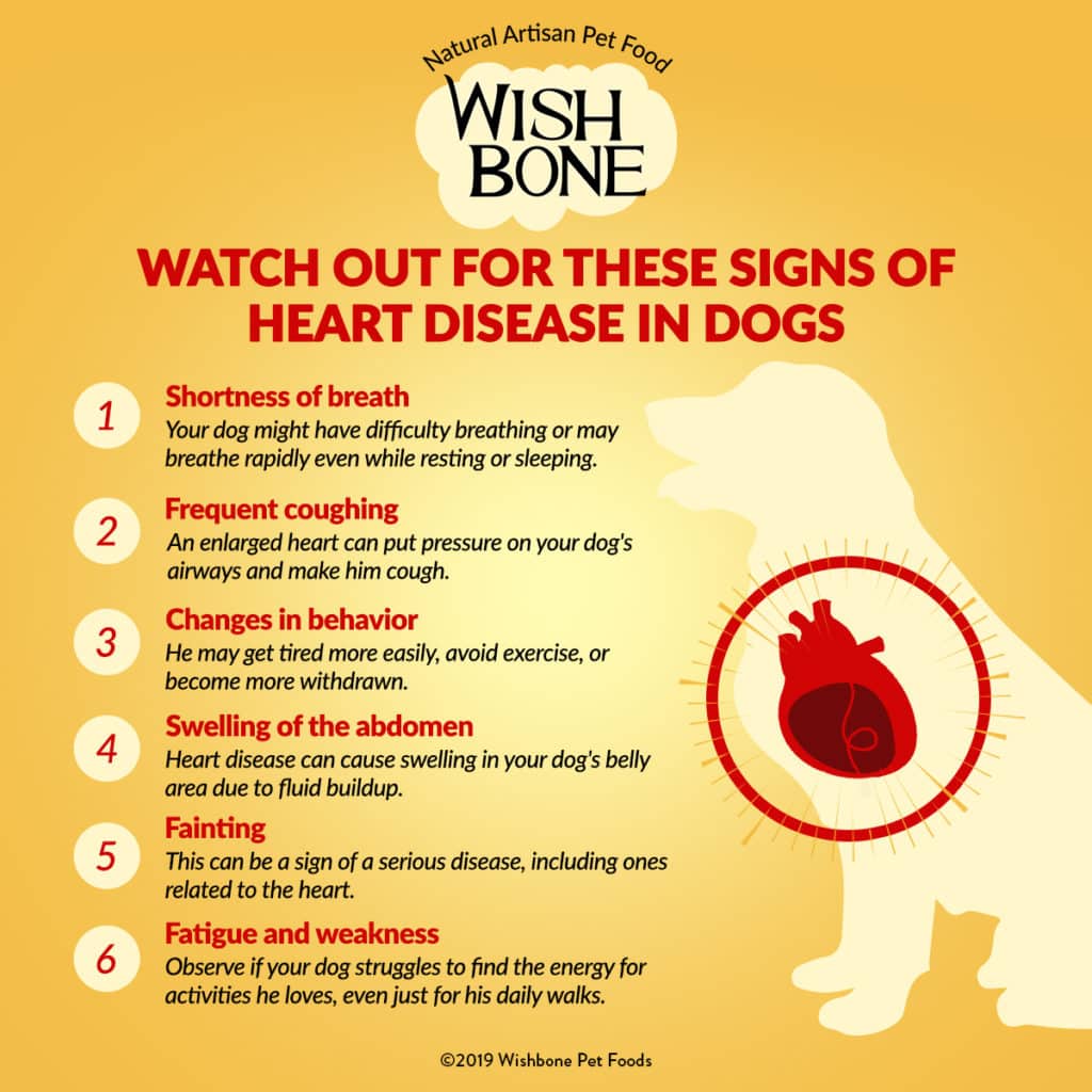 II. Types of Heart Disease in Dogs