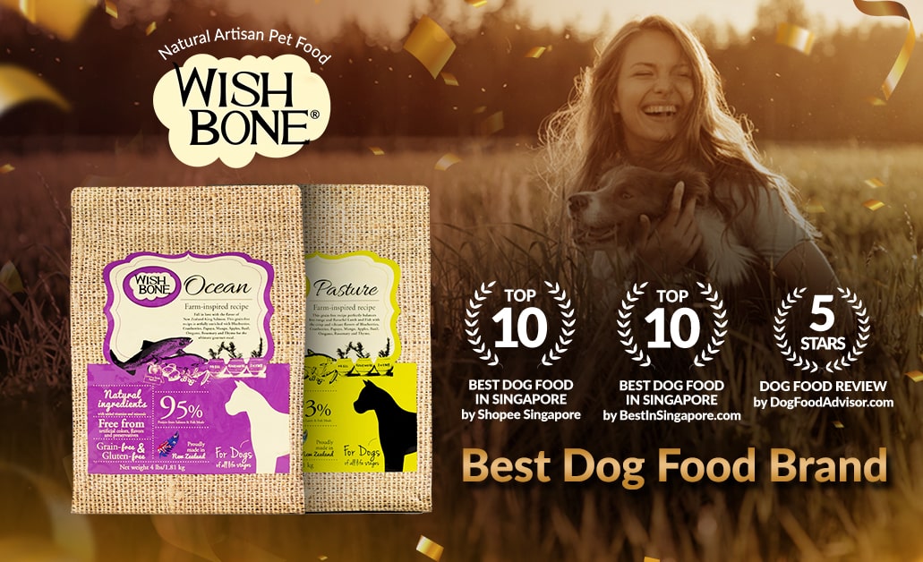 Wishbone Dog Food Rises to 5-star rating