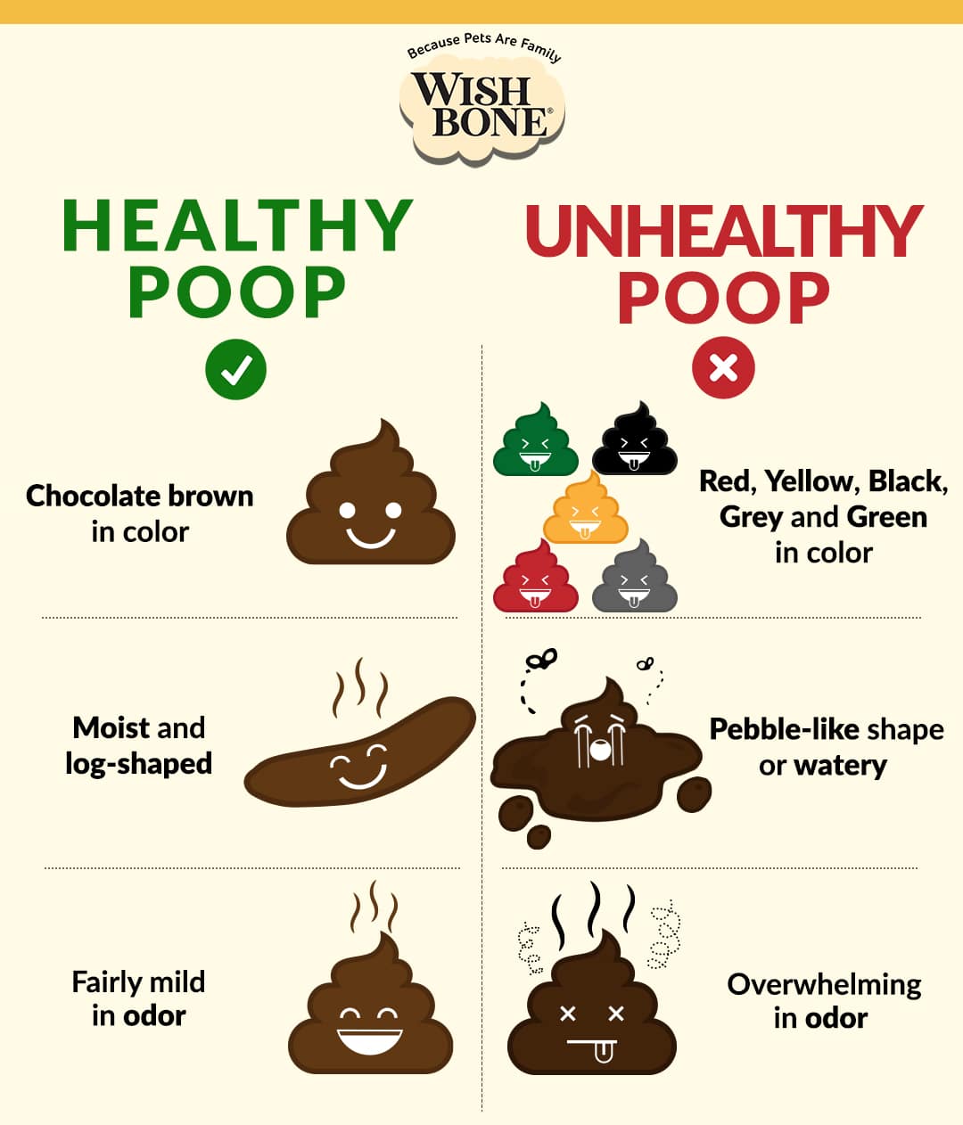 normal poop